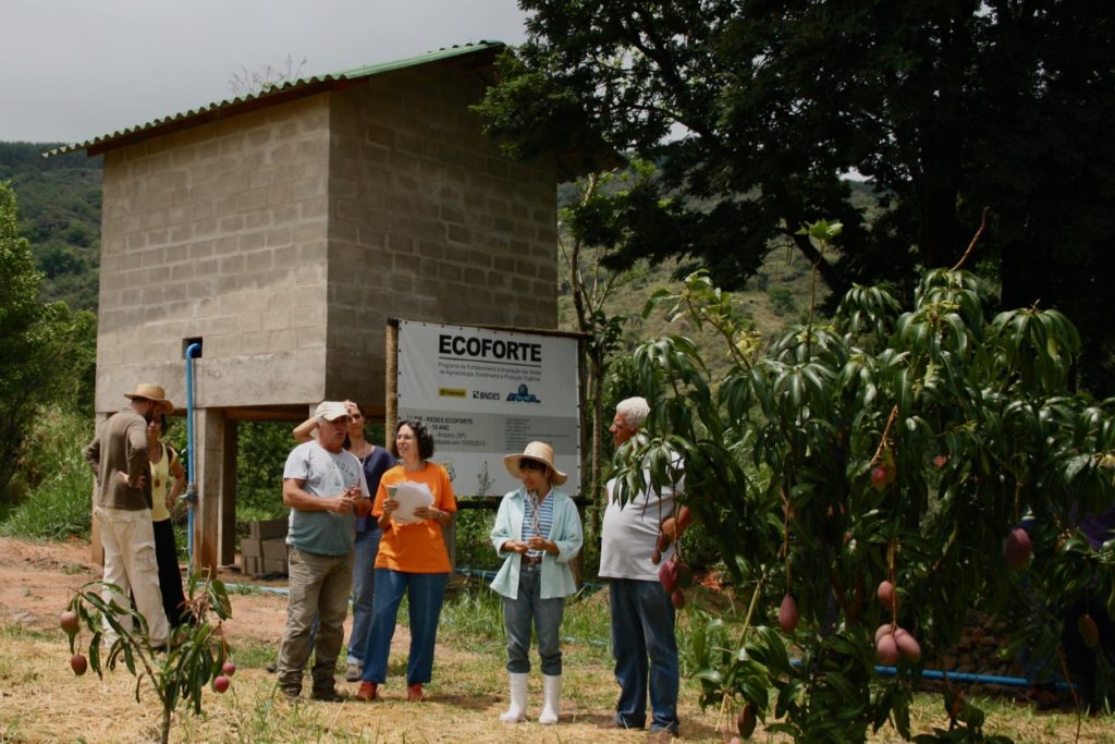 Mapeamento das Redes Territoriais de Agroecologia apoiadas pelo Programa Ecoforte