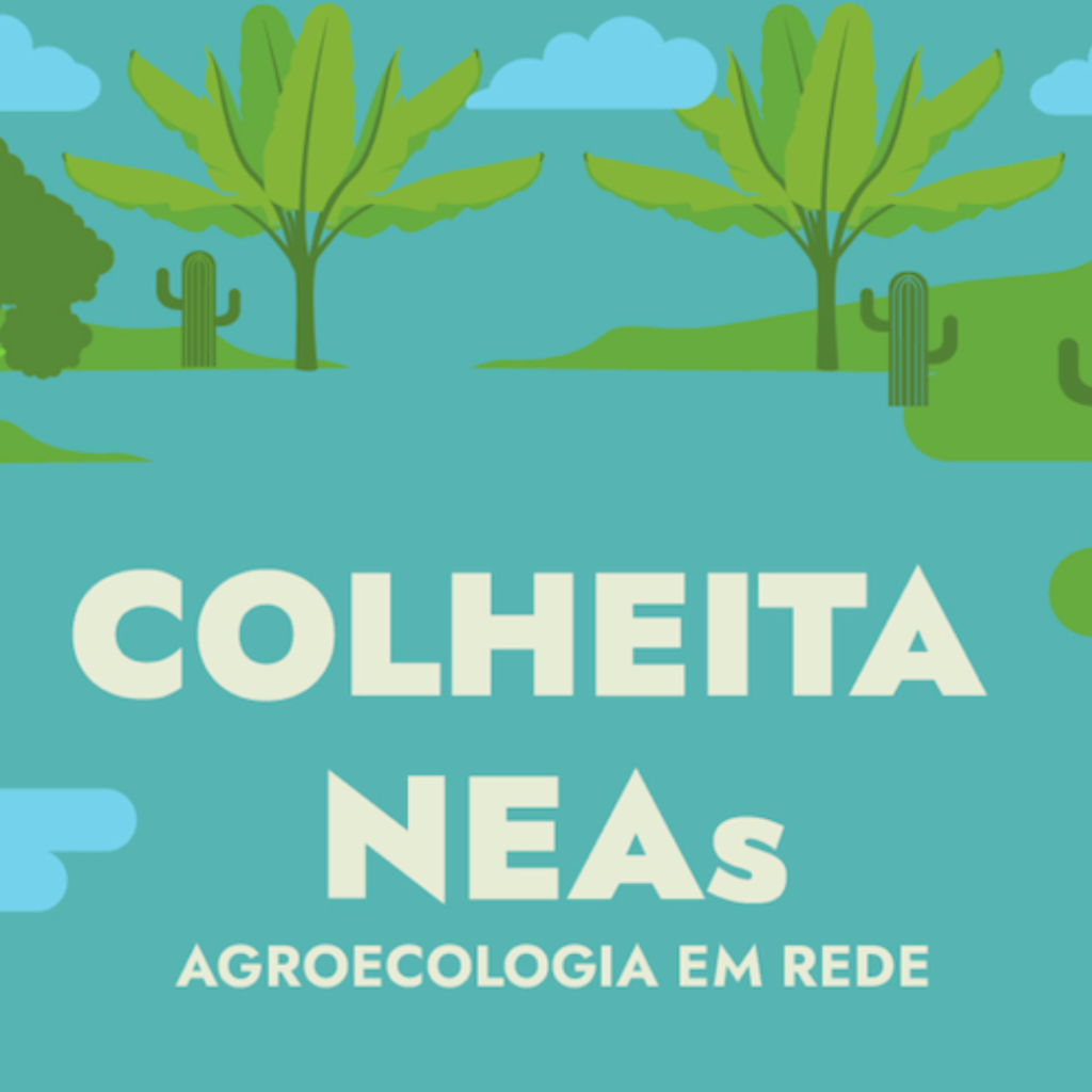 NEA – Núcleos de Estudos em Agroecologia