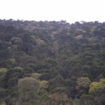 Anexo 1